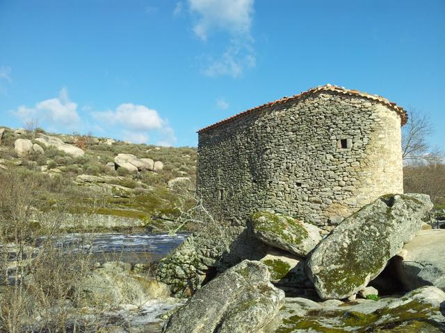 CABEZA DEL CABALLO